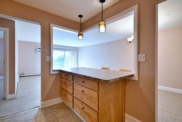 850 S Lorraine Road S 3E, Wheaton, IL 60189