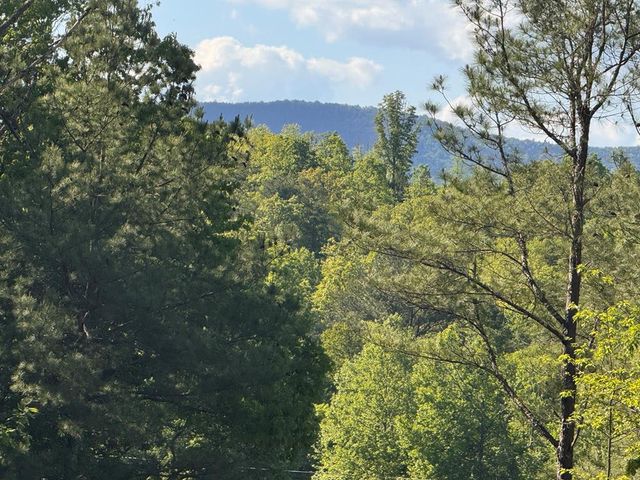 Lot 3 Grassy Creek Road, Copperhill, TN 37317