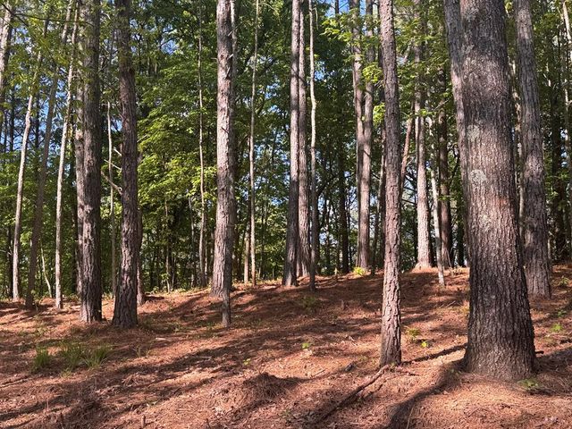 Lot 3 Grassy Creek Road, Copperhill, TN 37317