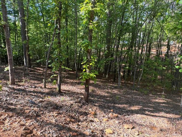 Lot 3 Grassy Creek Road, Copperhill, TN 37317