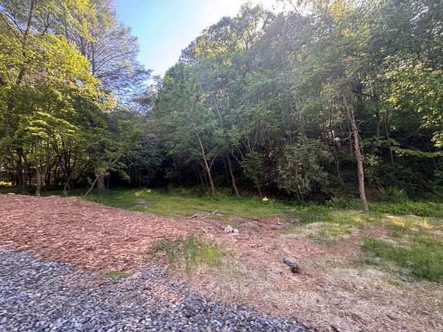 Lot 3 Grassy Creek Road, Copperhill, TN 37317