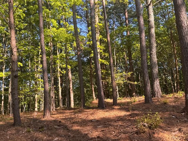 Lot 3 Grassy Creek Road, Copperhill, TN 37317