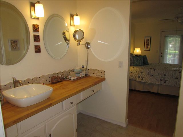 1013 LAKE AVOCA COURT, Tarpon Springs, FL 34689