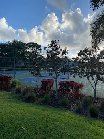 1013 LAKE AVOCA COURT, Tarpon Springs, FL 34689