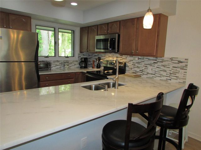 1013 LAKE AVOCA COURT, Tarpon Springs, FL 34689