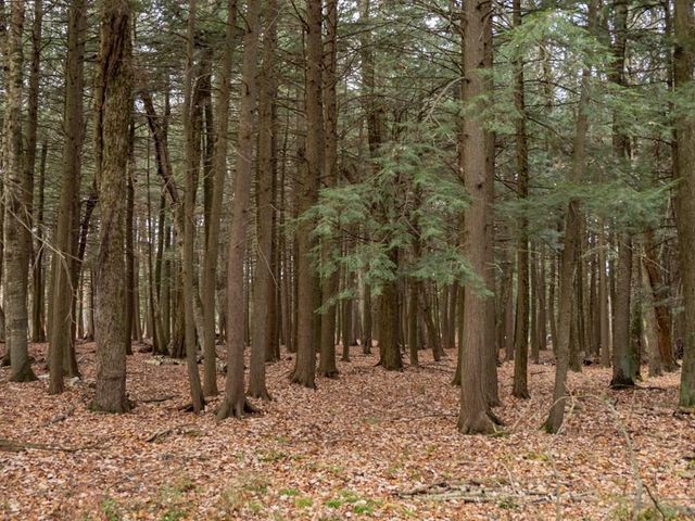 1059 TACOMA BEACH ROAD, Sturgeon Bay, WI 54235