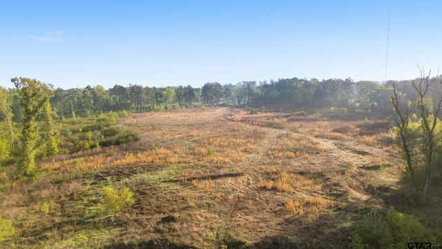 11241 Spur 248, Tyler, TX 75707