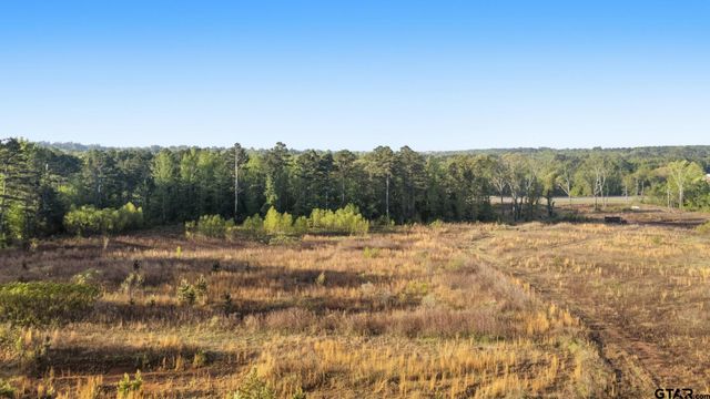 11241 Spur 248, Tyler, TX 75707