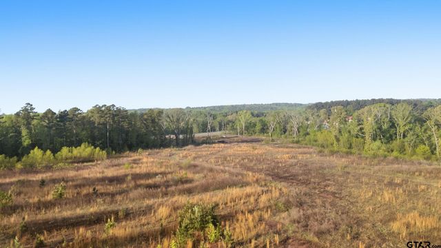 11241 Spur 248, Tyler, TX 75707