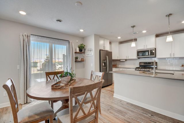 1203 Lower 143rd Street E, Rosemount, MN 55068