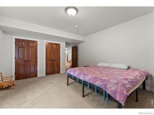 1824 E Seadrift Drive, Windsor, CO 80550