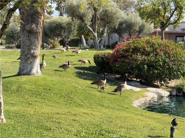 1149 Via Tenis, Palm Springs, CA 92262