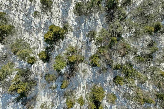 13-1 Page Road, Campton, NH 03223