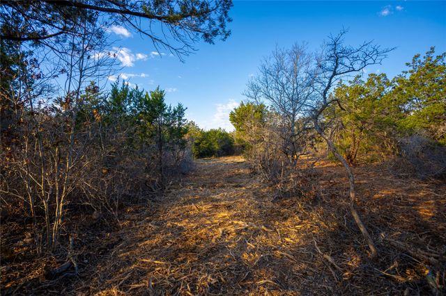 TBD Sawtooth DR, Bertram, TX 78605