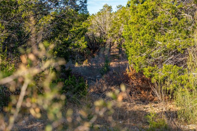 TBD Sawtooth DR, Bertram, TX 78605