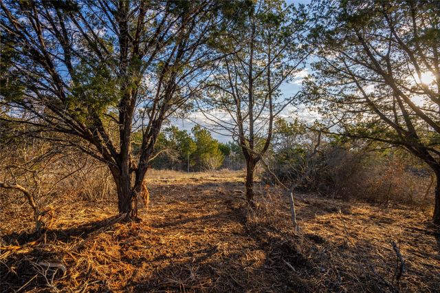 TBD Sawtooth DR, Bertram, TX 78605