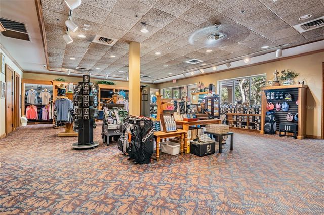 13915 CARRYBACK DRIVE, Dade City, FL 33525