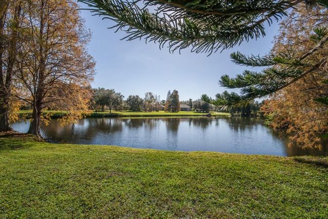 10506 CHELMSFORD WAY, Tampa, FL 33626