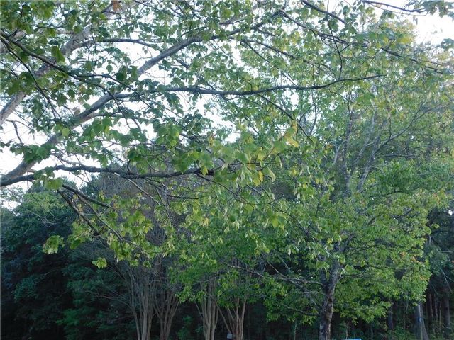 180 Irvin Drive, Dawsonville, GA 30534