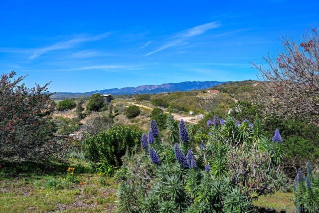 1282 Olive Ave, Fallbrook, CA 92028