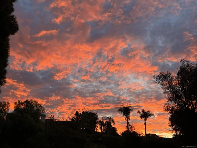 1282 Olive Ave, Fallbrook, CA 92028