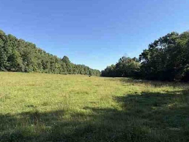 7117 Old Mill Creek Rd, Lyles, TN 37098