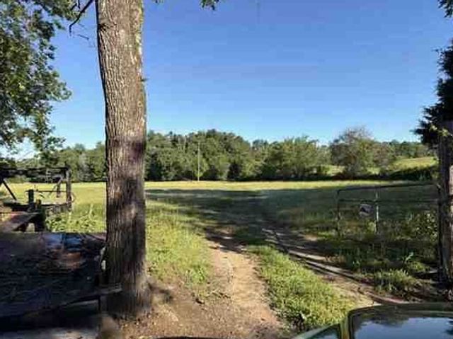 7117 Old Mill Creek Rd, Lyles, TN 37098