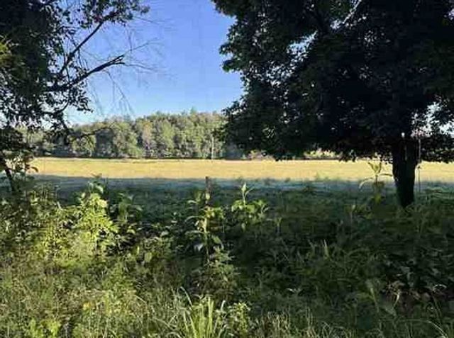 7117 Old Mill Creek Rd, Lyles, TN 37098