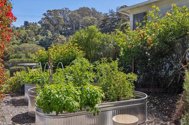 485 Montecito Ave, Corte Madera, CA 94925