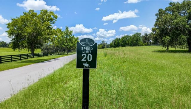 SE 159TH LN., Summerfield, FL 34491