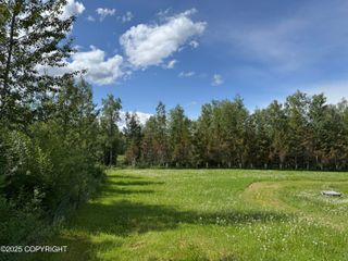 15800 E Shangrila Drive, Talkeetna, AK 99676