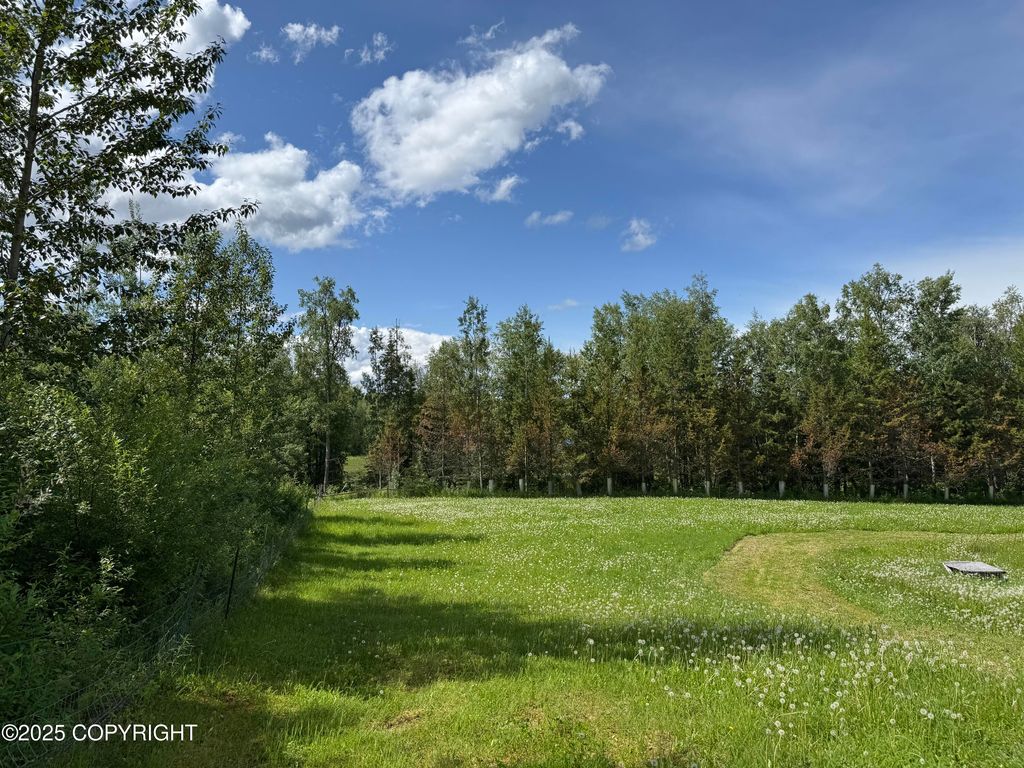 15800 E Shangrila Drive, Talkeetna, AK 99676