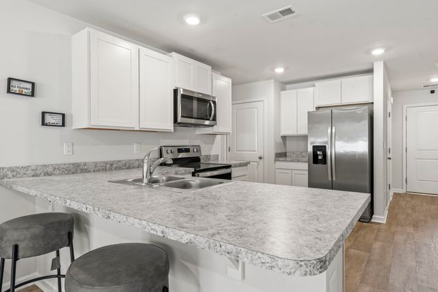 392 Spruce Pine Way, Conway, SC 29526