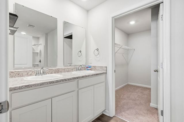 392 Spruce Pine Way, Conway, SC 29526