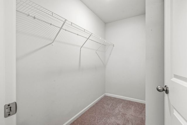 392 Spruce Pine Way, Conway, SC 29526