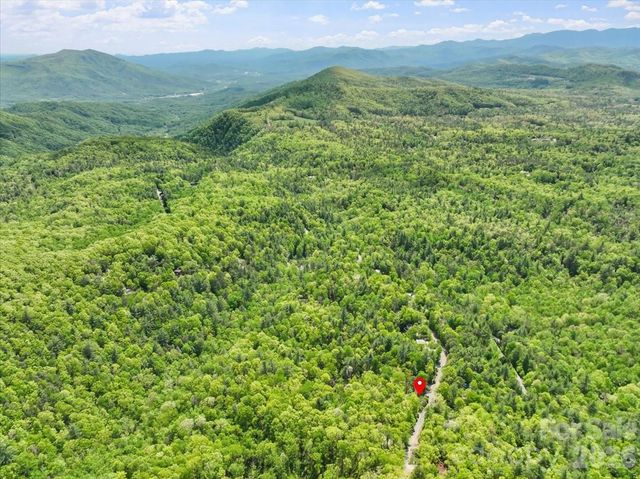 548 Bear Cub Drive 25, Spruce Pine, NC 28777