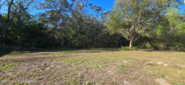 10464 Cranston Street, Spring Hill, FL 34608