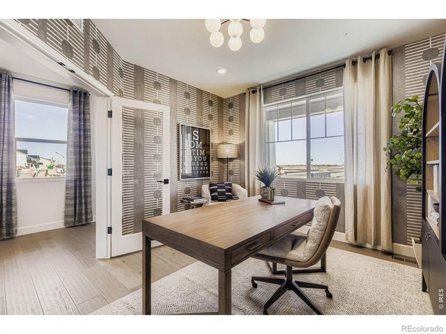 578 Noola Street, Windsor, CO 80550