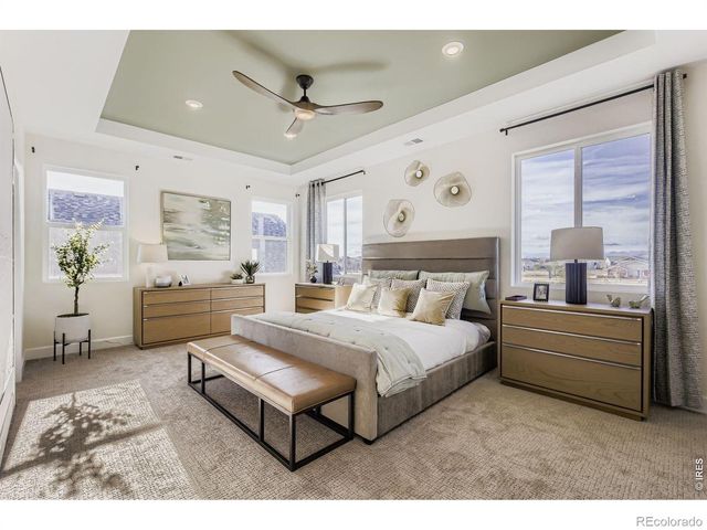 578 Noola Street, Windsor, CO 80550