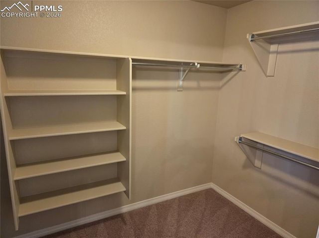 2304 Reed Grass Way, Colorado Springs, CO 80915