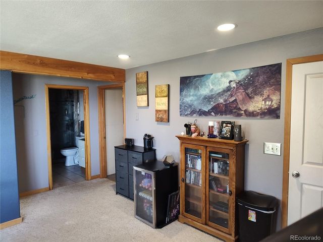 612 Sheep Ridge Road, Fairplay, CO 80440