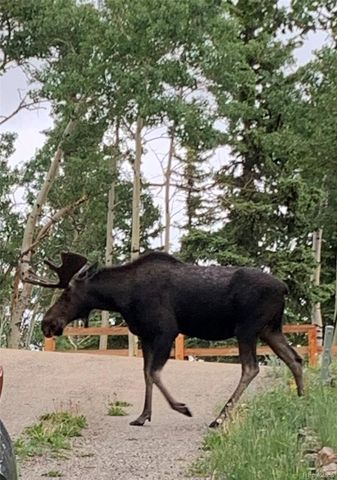612 Sheep Ridge Road, Fairplay, CO 80440