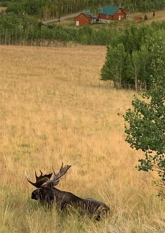 612 Sheep Ridge Road, Fairplay, CO 80440