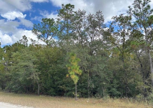 Lot 19 CANYON SWALLOW ROAD, Weeki Wachee, FL 34614