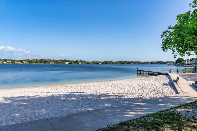 10524 ORANGE GROVE DRIVE, Tampa, FL 33618