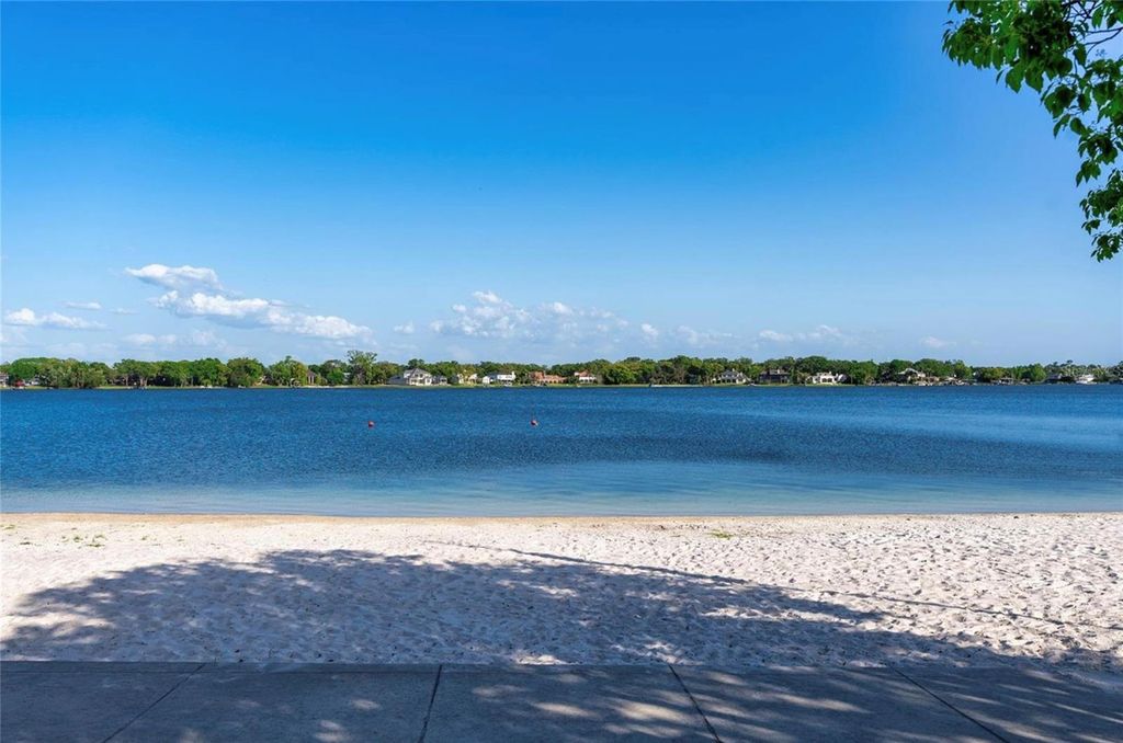 Image 56 of property listing at 10524 ORANGE GROVE DRIVE, Tampa, FL 33618