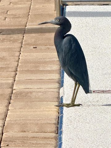 1000 LAKE OF THE WOODS BOULEVARD 206F, Fern Park, FL 32730