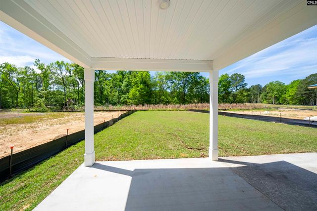 180 Monroe Preserve Lane, Chapin, SC 29036
