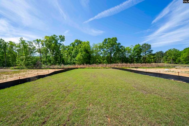 180 Monroe Preserve Lane, Chapin, SC 29036