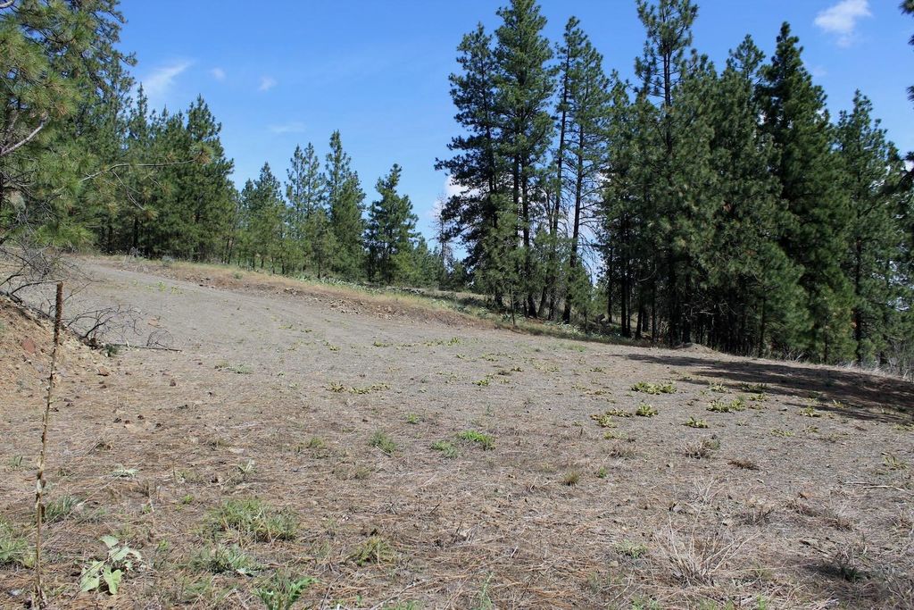 Badger Lot 1&2 Sontag Ridge Ln, Davenport, WA 99122